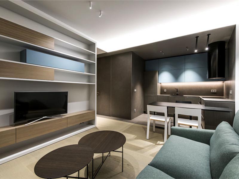 thiet ke can ho don gian hien dai 1